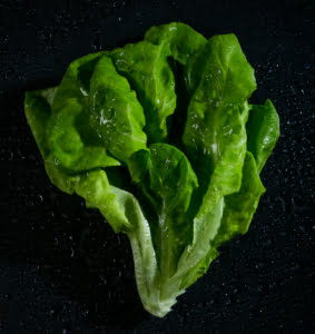 Kuvassa on mustalla taustalla keräsalaatti.