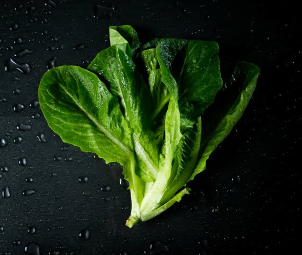 Kuvassa on romaine-salaatti mustalla taustalla.