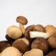Kuvassa on erilaisia sieniä kasassa.