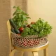 Kuvassa on tuolilla kori, jossa on vihanneksia.