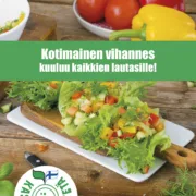 kasvista ei jateta_esite kuluttajille_Sivu_1