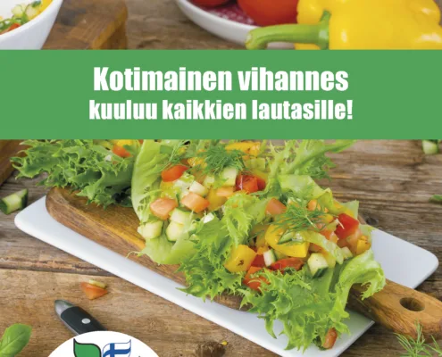 kasvista ei jateta_esite kuluttajille_Sivu_1