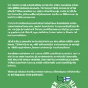 kasvista ei jateta_esite lapsille_Sivu_2